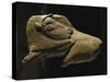 Bison Licking Its Back, Bone Figure from La Madeleine, Dordogne, France-null-Stretched Canvas