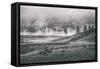 Bison Mist Landscape, Hayden Valley Yellowstone-Vincent James-Framed Stretched Canvas