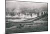 Bison Mist Landscape, Hayden Valley Yellowstone-Vincent James-Mounted Photographic Print