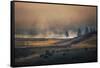 Bison Mist Landscape, Yellowstone National Park, Wyoming-Vincent James-Framed Stretched Canvas