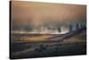 Bison Mist Landscape, Yellowstone National Park, Wyoming-Vincent James-Stretched Canvas