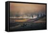 Bison Mist Landscape, Yellowstone National Park, Wyoming-Vincent James-Framed Stretched Canvas