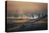 Bison Mist Landscape, Yellowstone National Park, Wyoming-Vincent James-Stretched Canvas