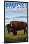 Bison, Montana-Lantern Press-Mounted Art Print