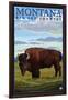 Bison, Montana-Lantern Press-Framed Art Print