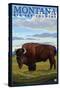 Bison, Montana-Lantern Press-Stretched Canvas