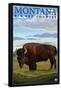 Bison, Montana-Lantern Press-Framed Stretched Canvas