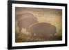 Bison Morning Mist Yellowstone-Steve Gadomski-Framed Photographic Print