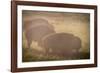 Bison Morning Mist Yellowstone-Steve Gadomski-Framed Photographic Print