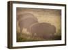 Bison Morning Mist Yellowstone-Steve Gadomski-Framed Photographic Print