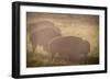 Bison Morning Mist Yellowstone-Steve Gadomski-Framed Photographic Print