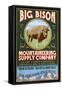 Bison Mountaineering - Vintage Sign-Lantern Press-Framed Stretched Canvas