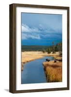 Bison Near Nez Perce Creek On A Stormy Day In Yellowstone National Park In Autumn-Ben Herndon-Framed Photographic Print