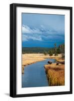 Bison Near Nez Perce Creek On A Stormy Day In Yellowstone National Park In Autumn-Ben Herndon-Framed Photographic Print