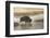 Bison on foggy morning along Madison River, Yellowstone National Park, Montana, Wyoming-Adam Jones-Framed Photographic Print