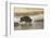 Bison on foggy morning along Madison River, Yellowstone National Park, Montana, Wyoming-Adam Jones-Framed Photographic Print