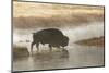Bison on foggy morning along Madison River, Yellowstone National Park, Montana, Wyoming-Adam Jones-Mounted Photographic Print