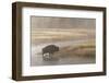 Bison on Foggy Morning Along Madison River, Yellowstone National Park, Wyoming-Adam Jones-Framed Photographic Print