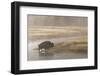 Bison on Foggy Morning Along Madison River, Yellowstone National Park, Wyoming-Adam Jones-Framed Photographic Print