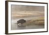 Bison on Foggy Morning Along Madison River, Yellowstone National Park, Wyoming-Adam Jones-Framed Photographic Print