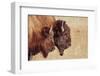 Bison Pair-Nathan Larson-Framed Photographic Print