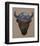 Bison Peak-Davies Babies-Framed Art Print