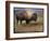 Bison Portrait II-Chris Vest-Framed Art Print