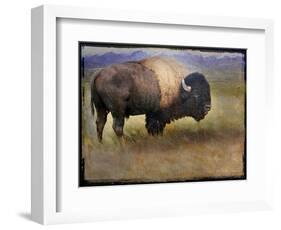 Bison Portrait II-Chris Vest-Framed Art Print