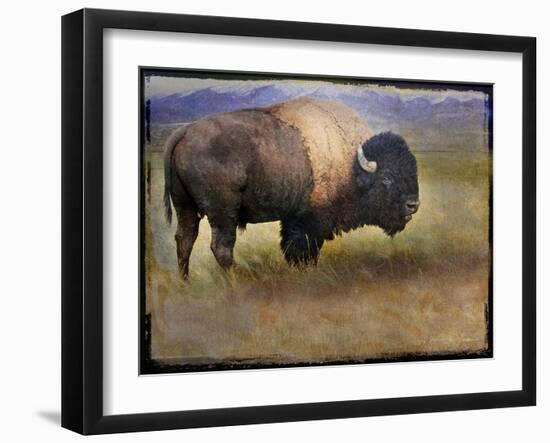 Bison Portrait II-Chris Vest-Framed Art Print