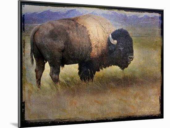 Bison Portrait II-Chris Vest-Mounted Art Print