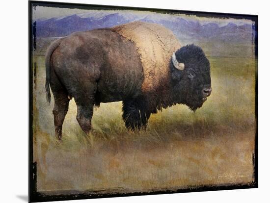 Bison Portrait II-Chris Vest-Mounted Art Print