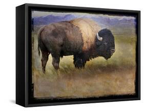 Bison Portrait II-Chris Vest-Framed Stretched Canvas