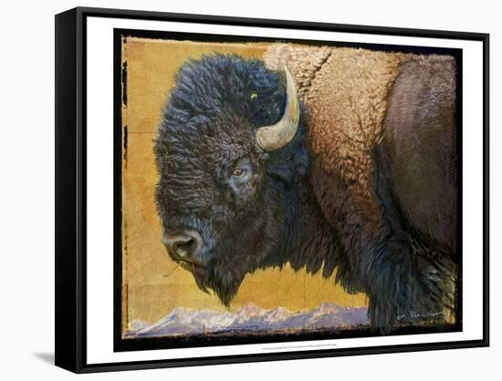 Bison Portrait III-Chris Vest-Framed Stretched Canvas