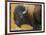 Bison Portrait III-Chris Vest-Framed Art Print