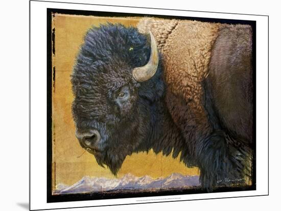 Bison Portrait III-Chris Vest-Mounted Art Print