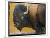 Bison Portrait III-Chris Vest-Mounted Art Print