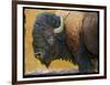 Bison Portrait III-Chris Vest-Framed Premium Giclee Print