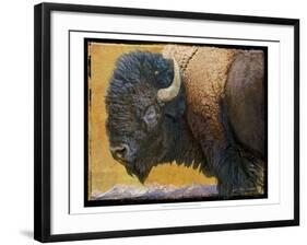 Bison Portrait III-Chris Vest-Framed Art Print