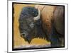 Bison Portrait III-Chris Vest-Mounted Art Print