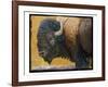 Bison Portrait III-Chris Vest-Framed Art Print