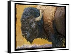 Bison Portrait III-Chris Vest-Framed Stretched Canvas