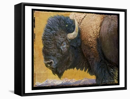 Bison Portrait III-Chris Vest-Framed Stretched Canvas