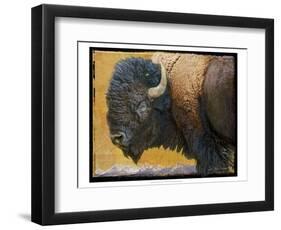 Bison Portrait III-Chris Vest-Framed Art Print