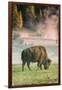 Bison Portrait-Vincent James-Framed Photographic Print