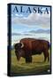 Bison Scene, Alaska-Lantern Press-Stretched Canvas