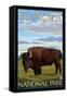 Bison Scene, Glacier National Park, Montana-Lantern Press-Framed Stretched Canvas