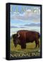 Bison Scene, Glacier National Park, Montana-Lantern Press-Framed Stretched Canvas