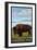 Bison Scene, Glacier National Park, Montana-Lantern Press-Framed Art Print