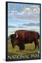 Bison Scene, Glacier National Park, Montana-Lantern Press-Stretched Canvas