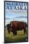 Bison Scene, McGrath, Alaska-Lantern Press-Mounted Art Print